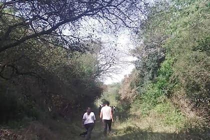hocos|Piden que los chicos vuelvan al naranjal donde, según uno de .